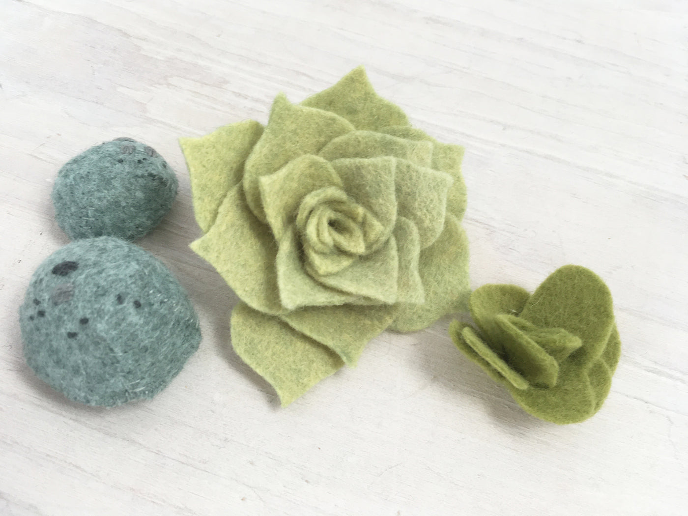 Felt Cactus Succulents Plants Sewing Pattern