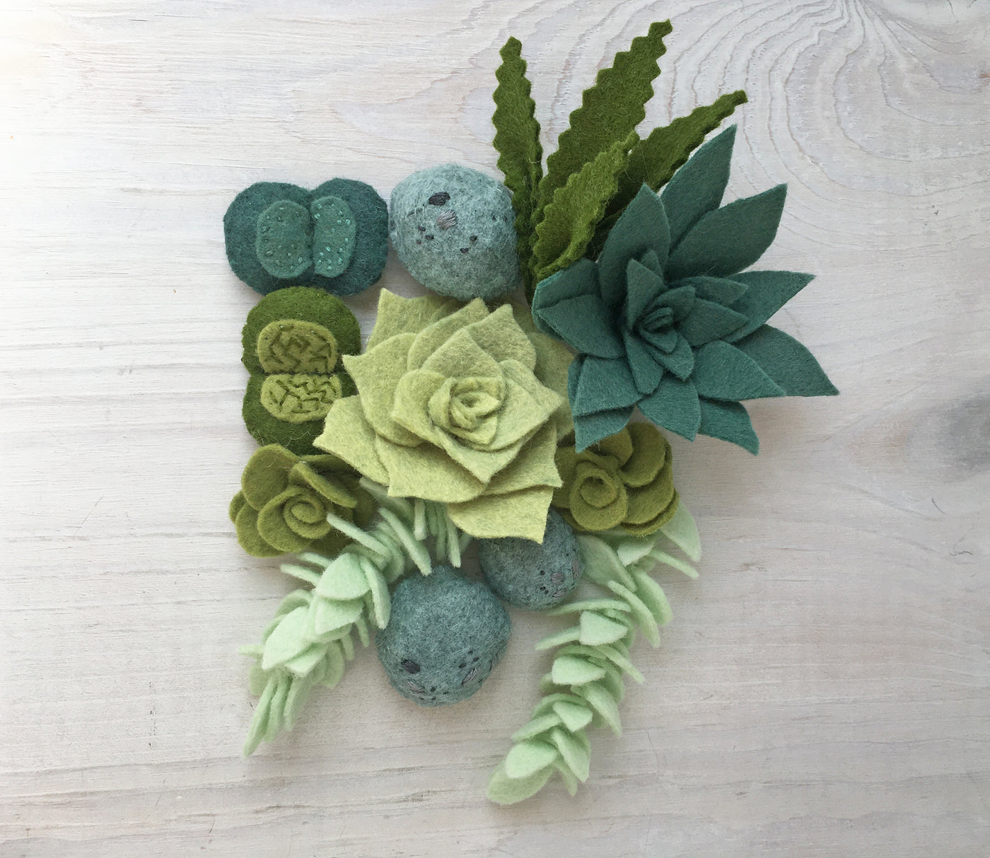 Felt Cactus Succulents Plants Sewing Pattern