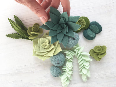 Felt Cactus Succulents Plants Sewing Pattern