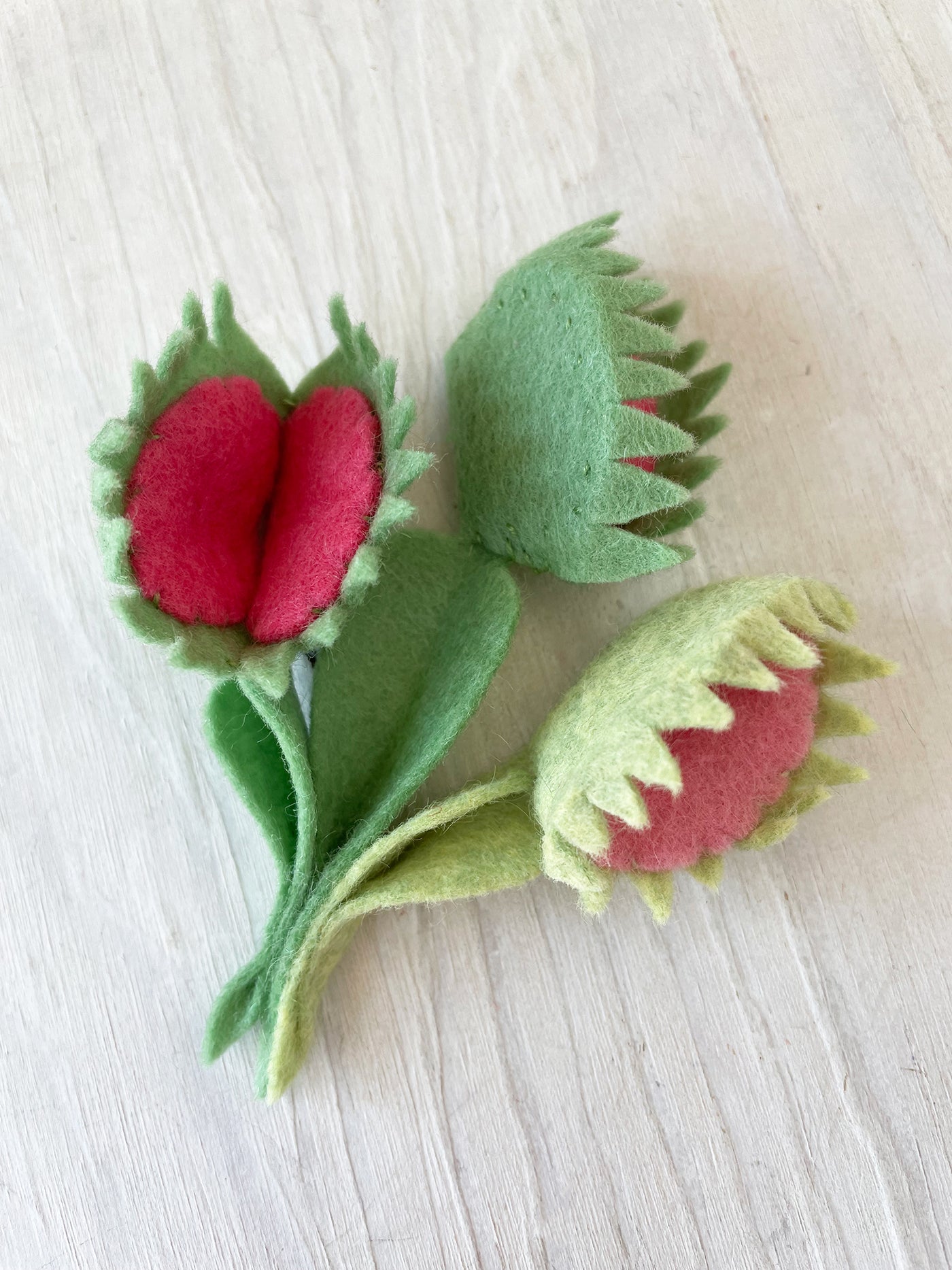 Felt Carnivorous Plants Sewing Pattern