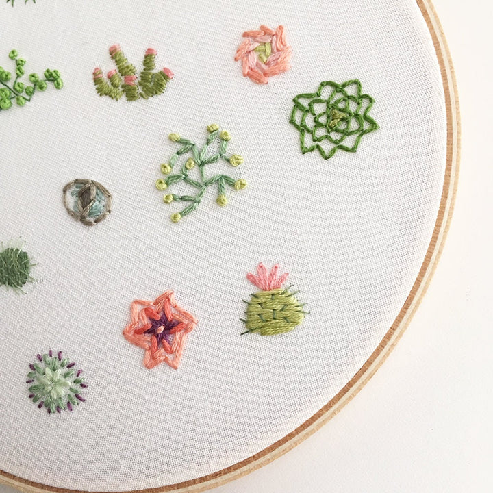 succulent embroidery kit Tiny Succulents Hand Embroidery pattern download, cactus and plant des –  Little Dear Shop