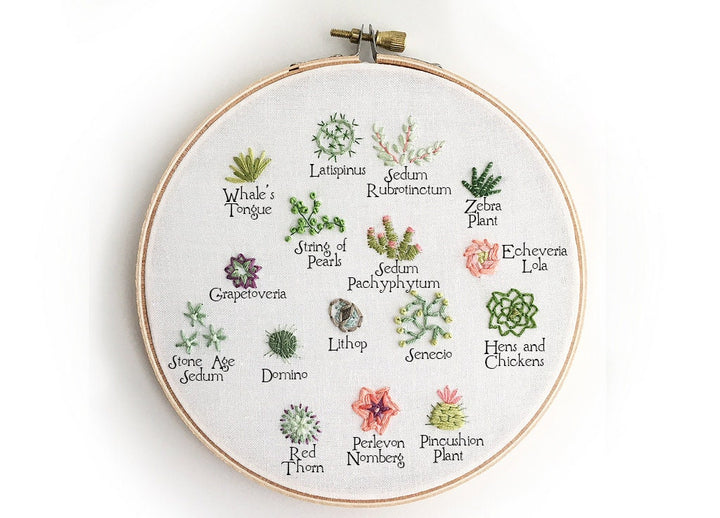 succulent needlepoint Tiny Succulents Hand Embroidery pattern download, cactus and plant des –  Little Dear Shop