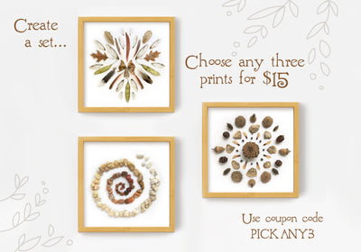 Pine Cone Spiral Printable nature photography wall art
