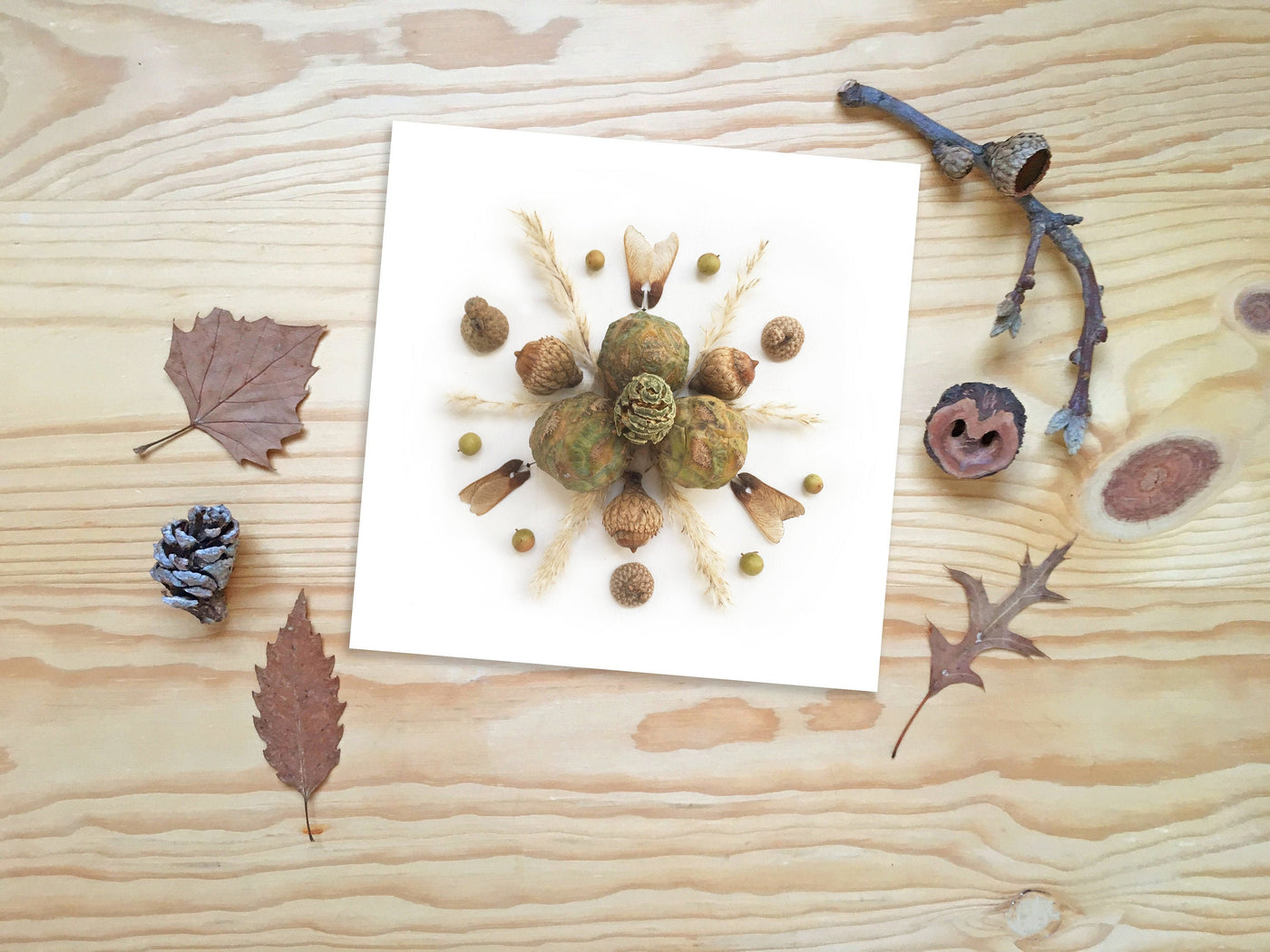 Autumn Seed Mandala Printable Wall Art