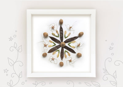 Nature photography Seed Star Mandala printable wall art