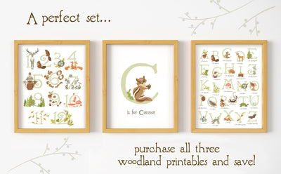 Personalized Woodland Animals wall art print, printable baby shower gift, nursery decor